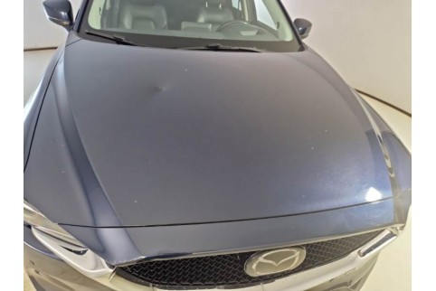 2019 Mazda CX-5, Dyzelinas
