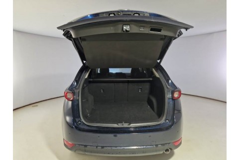 2019 Mazda CX-5, Dyzelinas