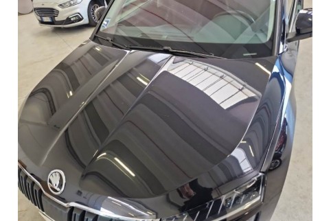 2021 Skoda Karoq, Dyzelinas