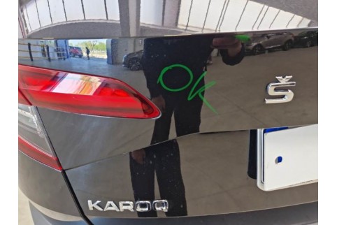 2021 Skoda Karoq, Dyzelinas