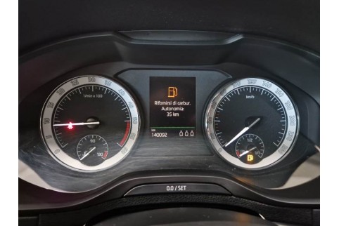 2021 Skoda Karoq, Dyzelinas