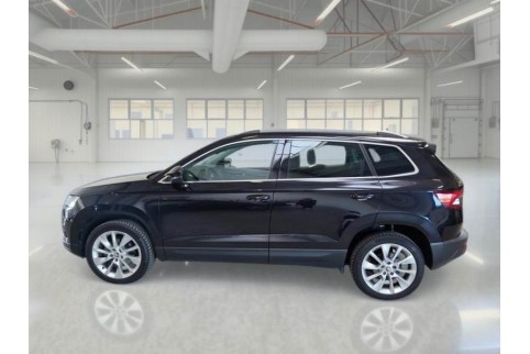 2021 Skoda Karoq, Dyzelinas