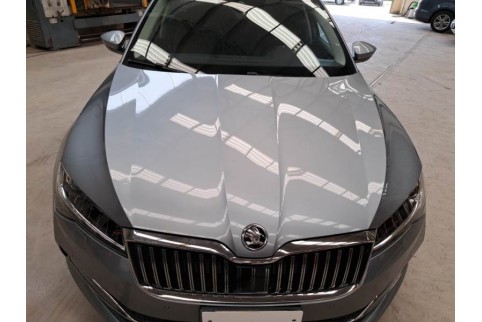 2019 Skoda Superb, Dyzelinas