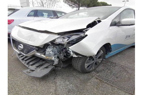 2021 Nissan Leaf, Elektra