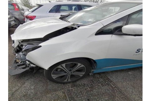 2021 Nissan Leaf, Elektra