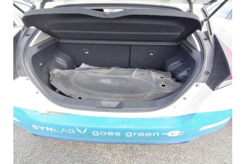 2021 Nissan Leaf, Elektra