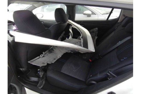 2021 Nissan Leaf, Elektra