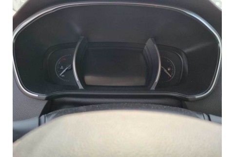 2019 Renault Megane, Dyzelinas
