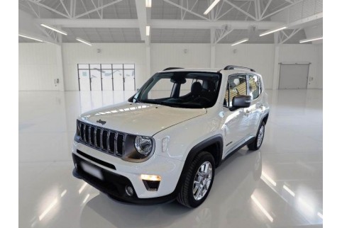 2021 Jeep Renegade, Benzinas / Elektra