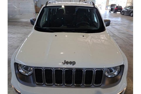 2021 Jeep Renegade, Benzinas / Elektra