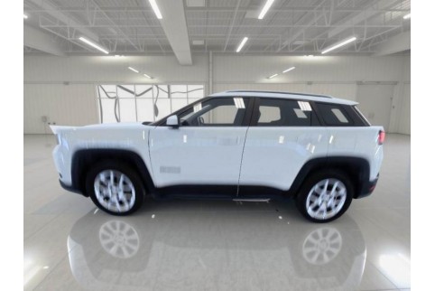 2021 Jeep Renegade, Benzinas / Elektra