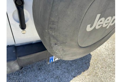 2018 Jeep Wrangler, Dyzelinas