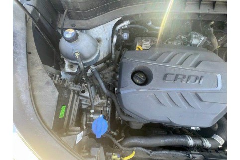 2021 Kia Sportage, Dyzelinas