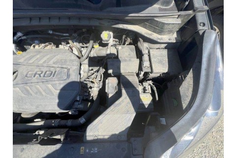 2021 Kia Sportage, Dyzelinas