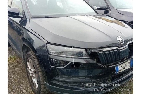 2020 Skoda Karoq, Dyzelinas