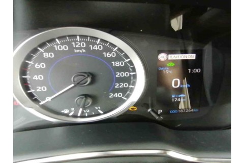 2020 Toyota Corolla, Benzinas / Elektra