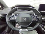 2021 Peugeot 3008, Dyzelinas