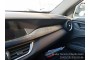 2022 Alfa Romeo Stelvio, Dyzelinas