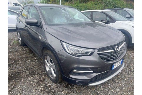 2021 Opel Grandland X, Benzinas / Elektra