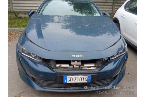 2020 Peugeot 508, Dyzelinas