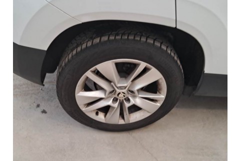 2020 Skoda Karoq, Dyzelinas