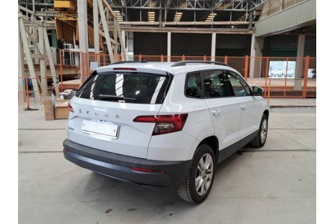 2020 Skoda Karoq, Dyzelinas