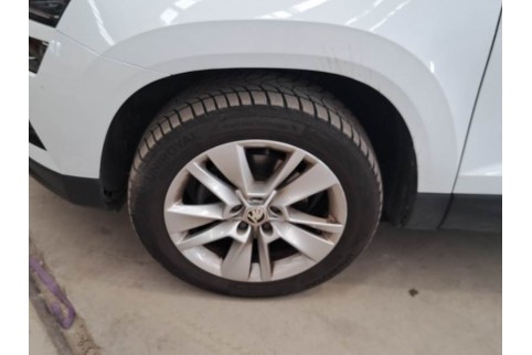 2020 Skoda Karoq, Dyzelinas