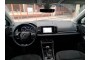 2020 Skoda Karoq, Dyzelinas