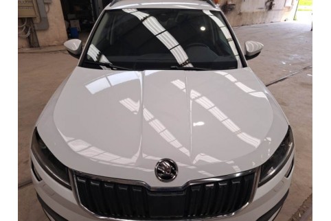 2020 Skoda Karoq, Dyzelinas
