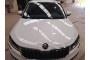 2020 Skoda Karoq, Dyzelinas