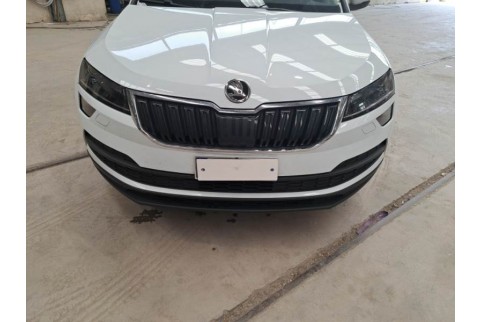 2020 Skoda Karoq, Dyzelinas