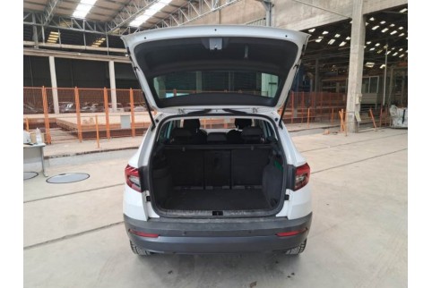 2020 Skoda Karoq, Dyzelinas