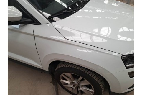 2020 Skoda Karoq, Dyzelinas