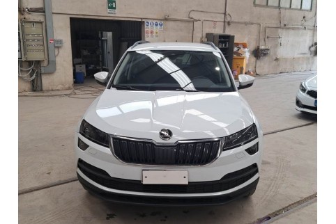 2020 Skoda Karoq, Dyzelinas