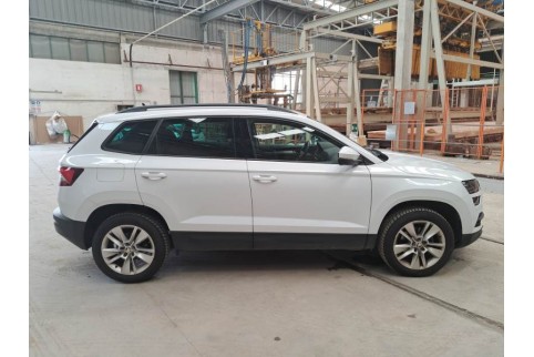 2020 Skoda Karoq, Dyzelinas