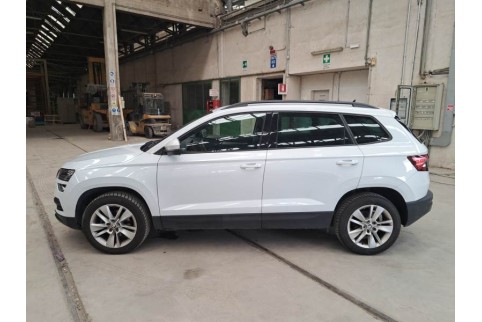 2020 Skoda Karoq, Dyzelinas