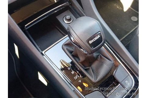 2023 Skoda Karoq, Dyzelinas
