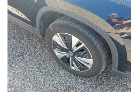 2023 Skoda Karoq, Dyzelinas