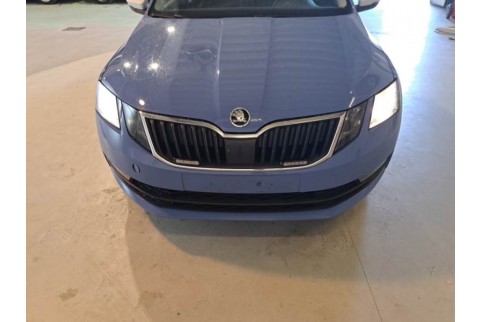 2019 Skoda Octavia, Dyzelinas