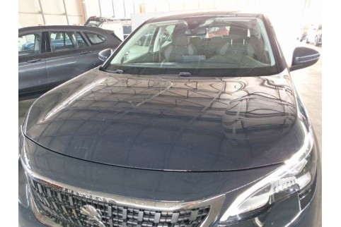 2019 Peugeot 3008, Dyzelinas