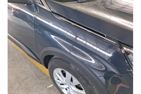 2019 Peugeot 3008, Dyzelinas