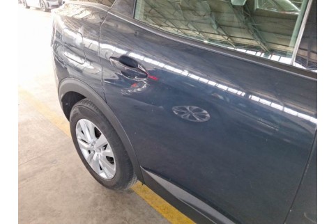 2019 Peugeot 3008, Dyzelinas