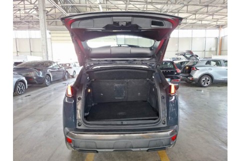 2019 Peugeot 3008, Dyzelinas