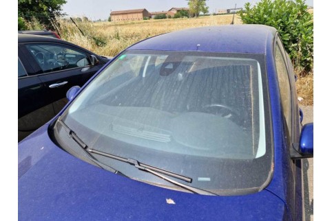 2019 Peugeot 308, Dyzelinas