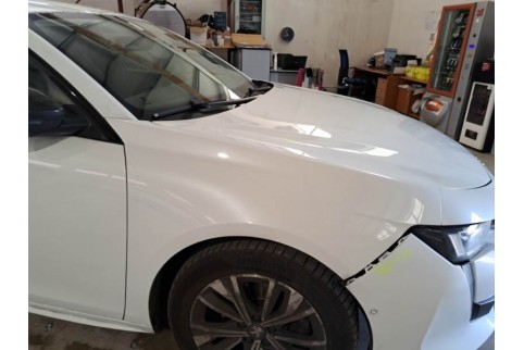 2021 Peugeot 508, Dyzelinas