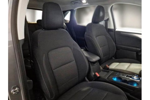 2020 Ford Kuga, Dyzelinas