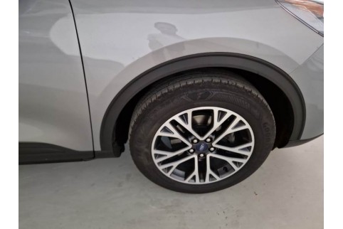 2020 Ford Kuga, Dyzelinas