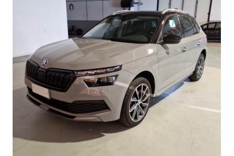 2020 Skoda Kamiq, Dyzelinas