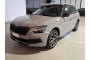 2020 Skoda Kamiq, Dyzelinas