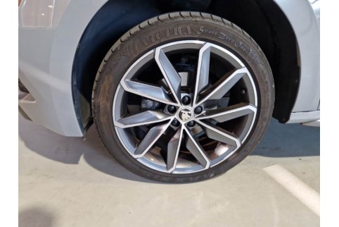 2020 Skoda Kamiq, Dyzelinas